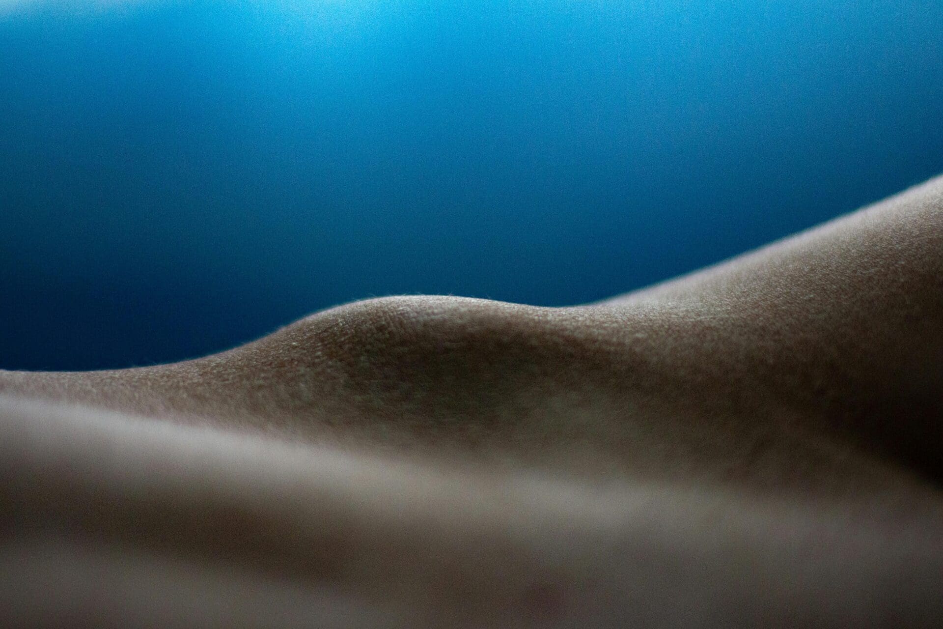 pexels ivan cujic 20495 18260707